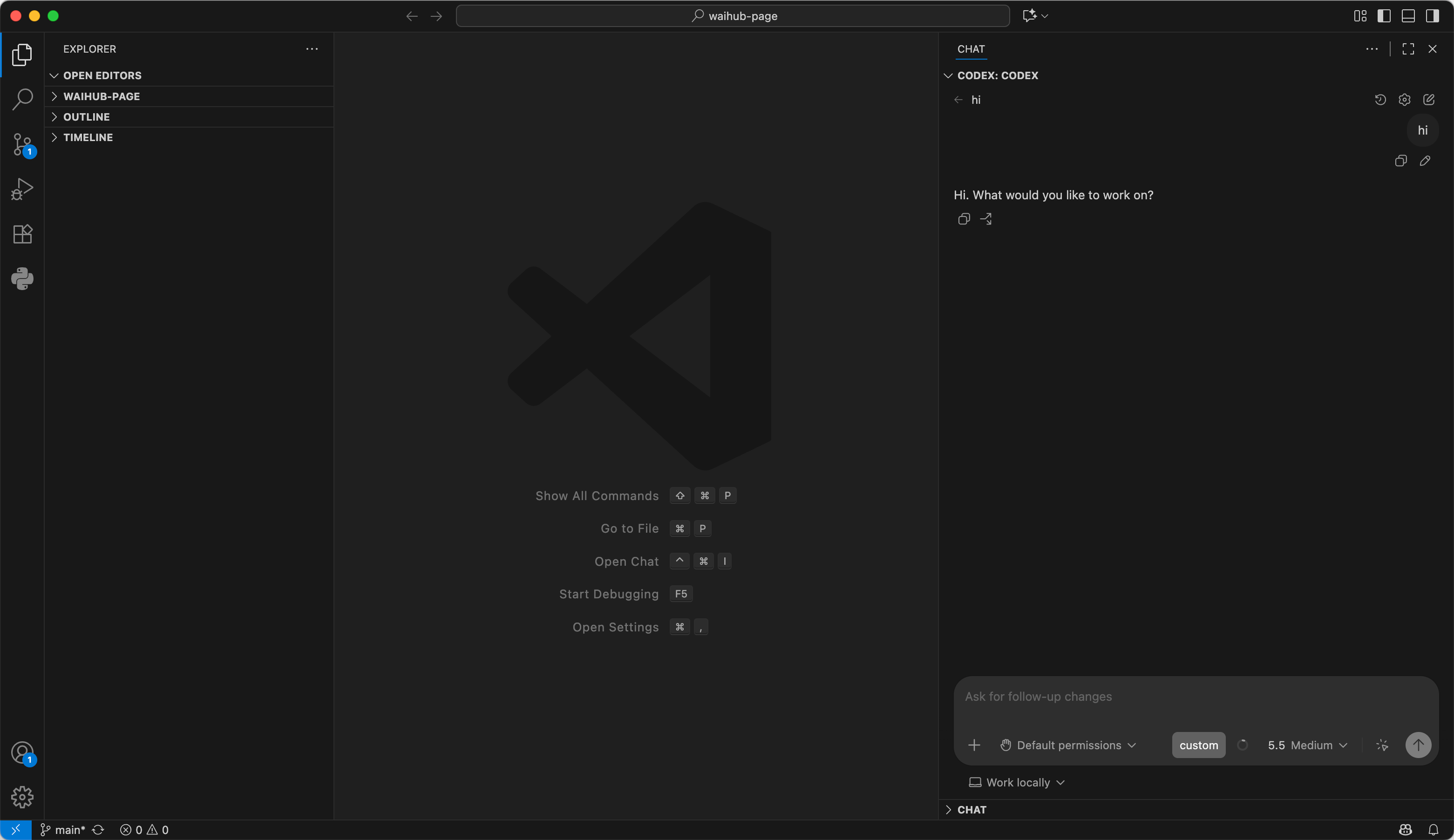 VS Code 使用 Codex 扩展